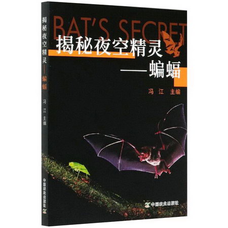 揭秘夜空精靈——蝙蝠 圖書
