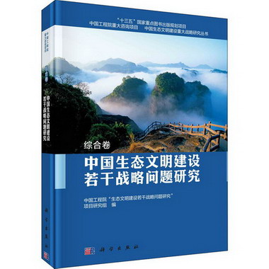 中國生態文明建設若干戰略問題研究 綜合卷 圖書
