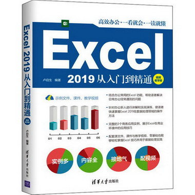 Excel 2019從入門到精通 視頻教學版 圖書