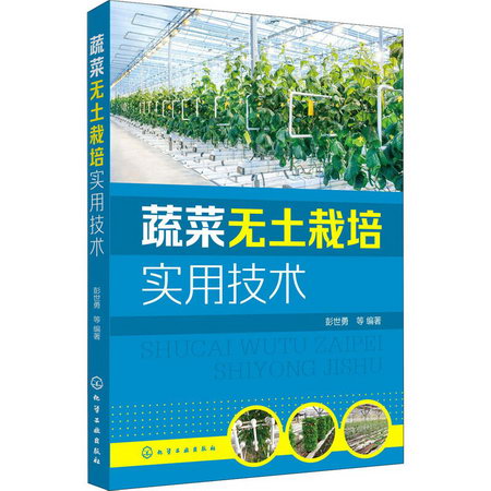 蔬菜無土栽培實用技術 圖書