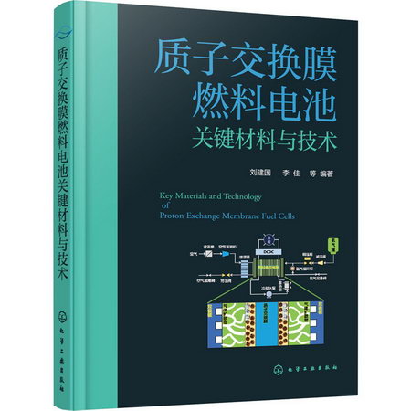 質子交換膜燃料電池關鍵材料與技術 圖書