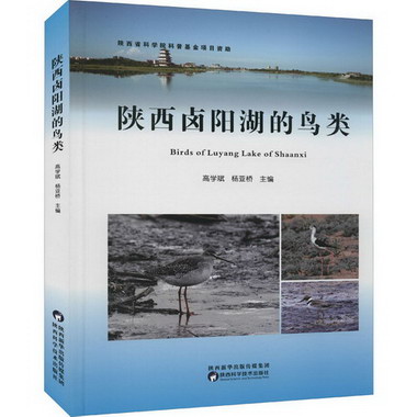 陝西鹵陽湖的鳥類 圖