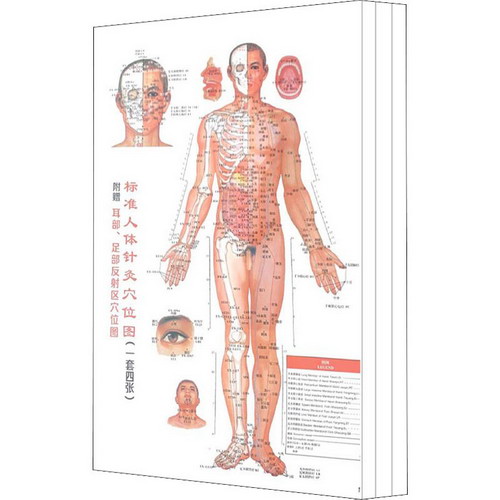 標準人體針灸穴位圖(1-4) 圖書