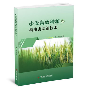 小麥高效種植及病蟲害防治技術 圖書