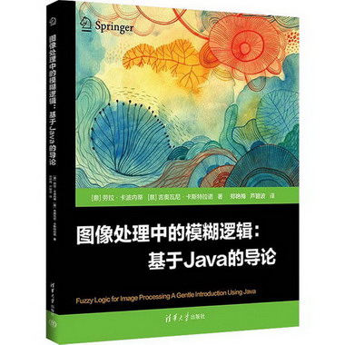 圖像處理中的模糊邏輯:基於Java的導論 圖書