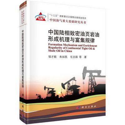 中國陸相致密油頁岩油形成機理與富集規律 圖書