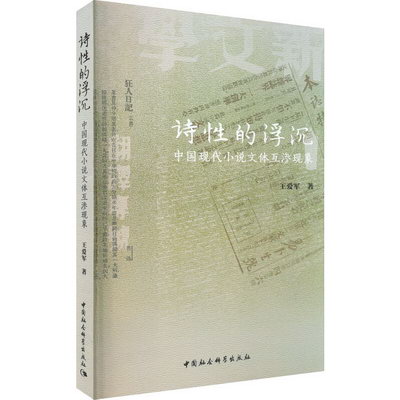 詩性的浮沉 中國現代小說文體互滲現像 圖書