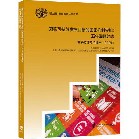 落實可持續發展目標的國家機制安排:五年回顧總結 世界公共部門報