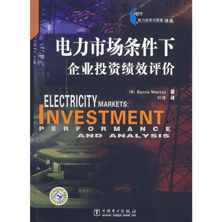 電力經濟與管理譯叢:電力市場條件下企業投資績效評價