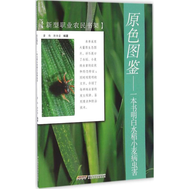 原色圖鋻一本書明白水稻小麥病蟲害