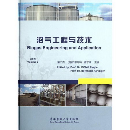 沼氣工程與技術(第2卷)(精)