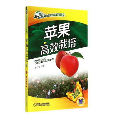 蘋果高效栽培(6)