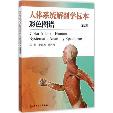 人體繫統解剖學標本彩色圖譜(第2版)