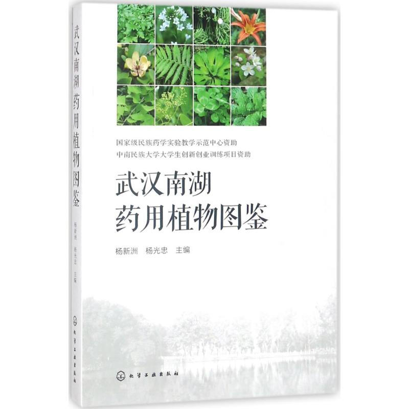 武漢南湖藥用植物圖鋻