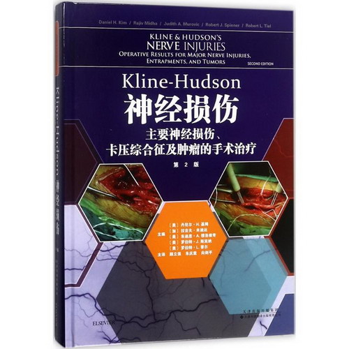 Kline-Hudson神經損傷(第2版)
