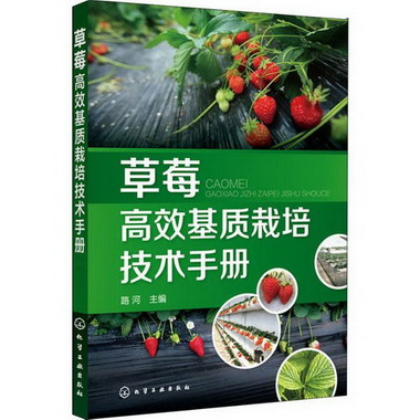 草莓高效基質栽培技術