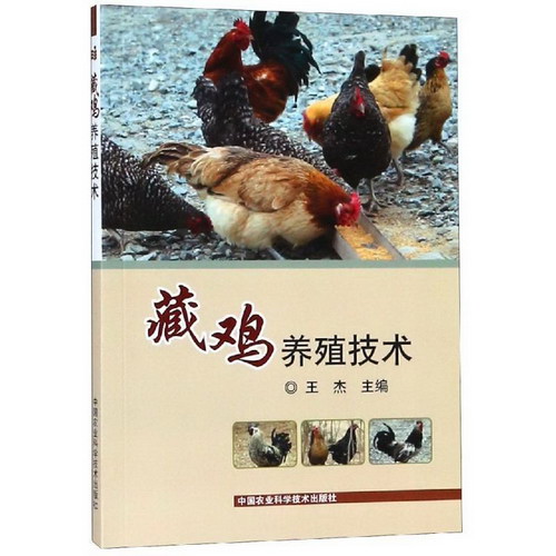 藏雞養殖技術