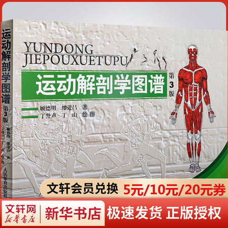 運動解剖學圖譜修訂第3三版 人體醫學解剖圖解書肌肉健美訓練講解