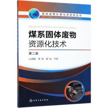 煤繫固體廢物資源化技術(第2版)/固體廢物處理與資源化叢書