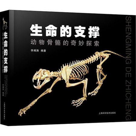 生命的支撐 動物骨骼的奇妙探索