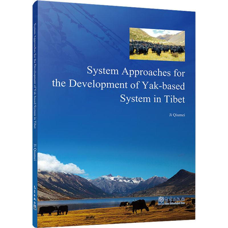System Approaches for the Development of