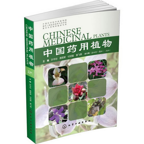 中國藥用植物(30)