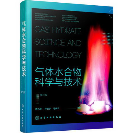 氣體水合物科學與技術 第2版