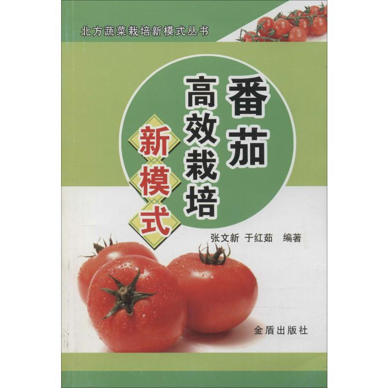 番茄高效栽培新模式