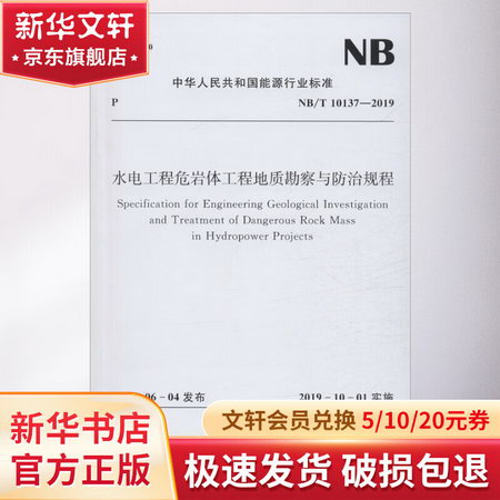 水電工程危岩體工程地質勘察與防治規程 NB/T 10137-2019