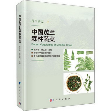 中國茂蘭森林蔬菜