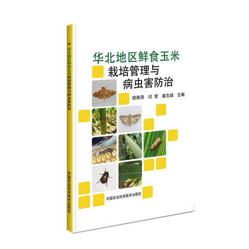 華北地區鮮食玉米栽培管理與病蟲害防治