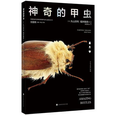 神奇的甲蟲 圖書
