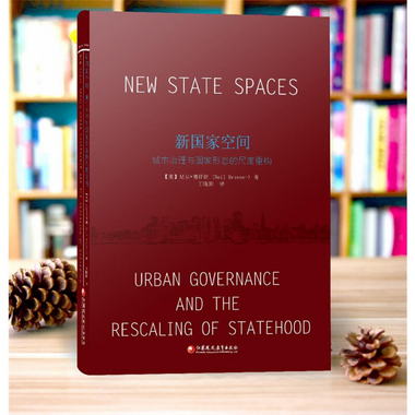 新國家空間：城市治理與國家形態的尺度重構 世界城市管理研究 江