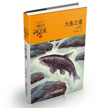 正版 大魚之道 動物小說大王瀋石溪品藏書繫青少年的課外啟發讀物