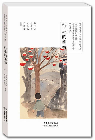 中國當代兒童文學名家名作精選集（彩繪版）小說卷3：行走的季節