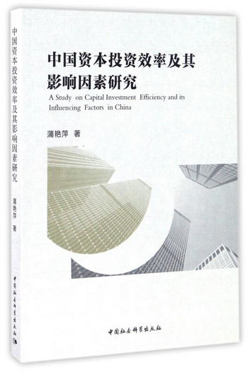 中國資本投資效率及其影響因素研究