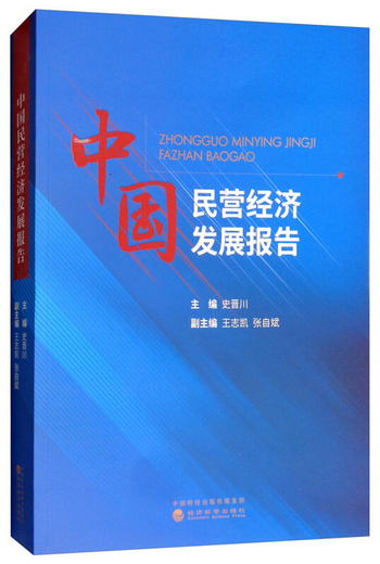 中國民營經濟發展報告