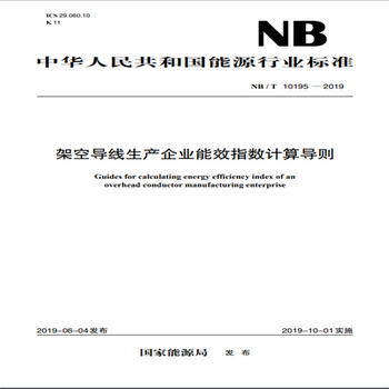 NB/T 10195