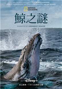 藍光電影 BD25 鯨魚的秘密 2碟裝 2021  豆瓣9.4高分記錄