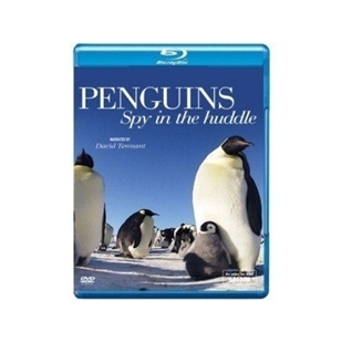 藍光電影碟 BD25 企鵝間諜 2014最新記錄