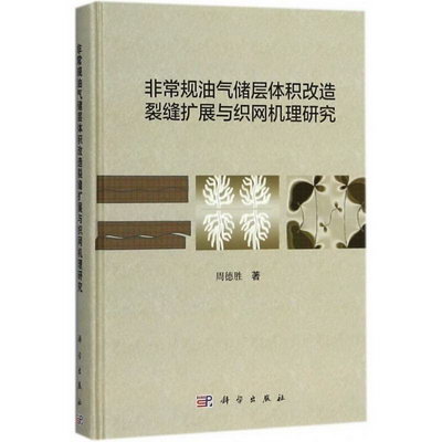 非常規油氣儲層體積改造裂縫擴展與織網機理研究